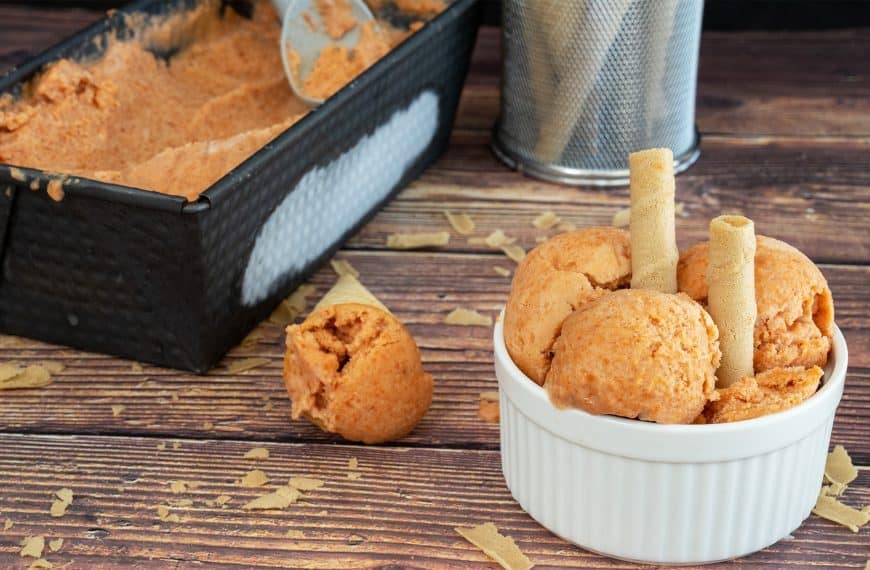 helado de zapote casero